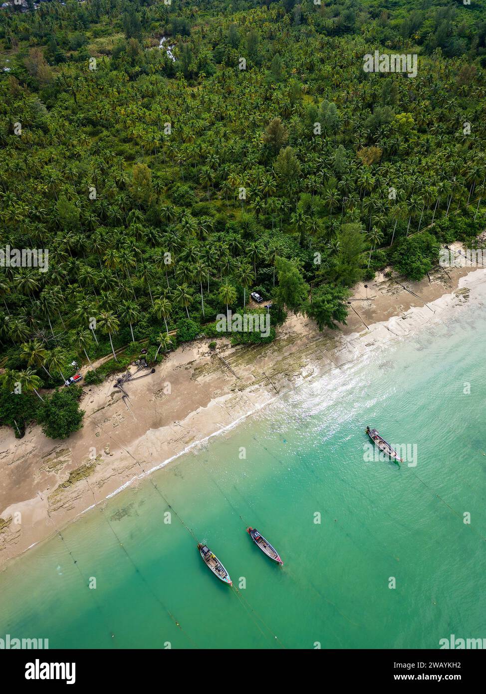 Vista aerea dall'alto delle tradizionali barche a coda lunga su una spiaggia tropicale circondata da palme Foto Stock