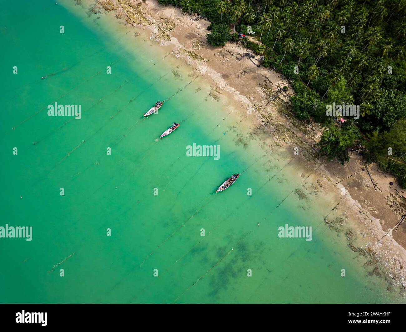Vista aerea dall'alto delle tradizionali barche a coda lunga su una spiaggia tropicale circondata da palme Foto Stock