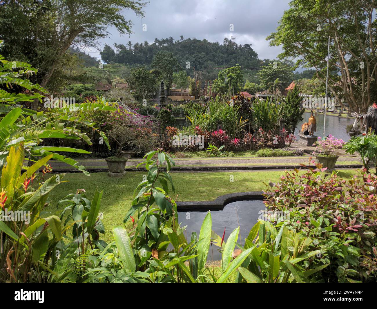 Questa immagine presenta un tranquillo parco con vegetazione lussureggiante e fiori vibranti lungo il sentiero Foto Stock