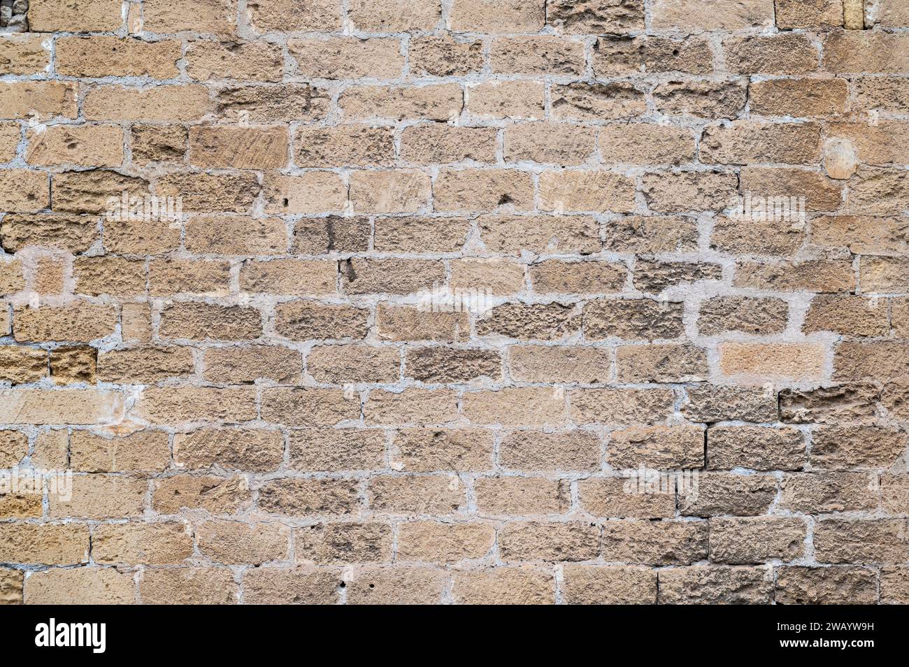 Superficie ruvida di uno storico muro di pietra in mattoni, Palermo, Sicilia, Italia Foto Stock