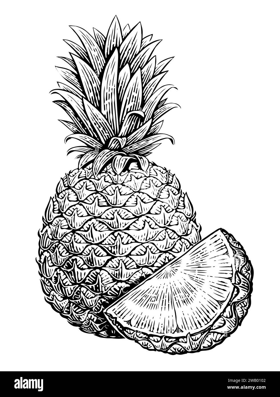 Ananas e pezzo. Frutta tropicale estiva intera, schizzo. Illustrazione vettoriale disegnata a mano Illustrazione Vettoriale