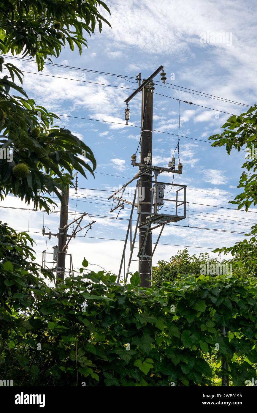 linee elettriche attraverso gli alberi lungo una ferrovia rurale a hokkaido in giappone Foto Stock