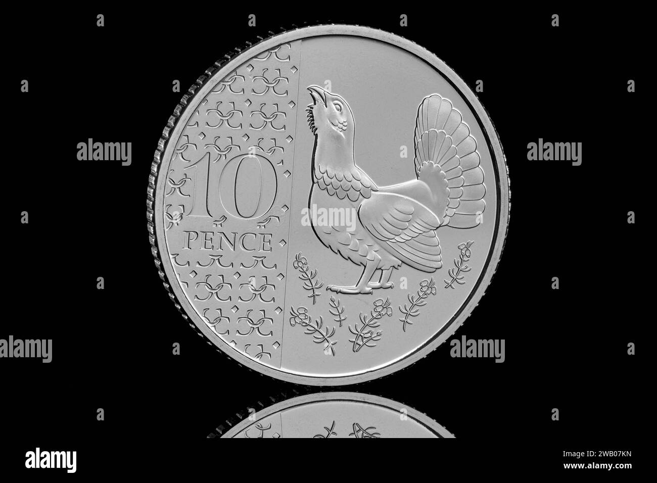 La moneta Capercaillie da 10 pence del set di monete annuali definitive del 2024 con il primo ritratto in moneta di re Carlo III di Martin Jennings Foto Stock