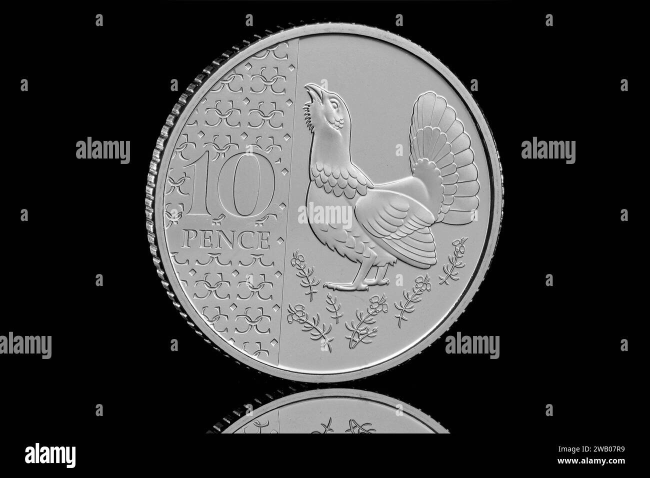 La moneta Capercaillie da 10 pence del set di monete annuali definitive del 2024 con il primo ritratto in moneta di re Carlo III di Martin Jennings Foto Stock