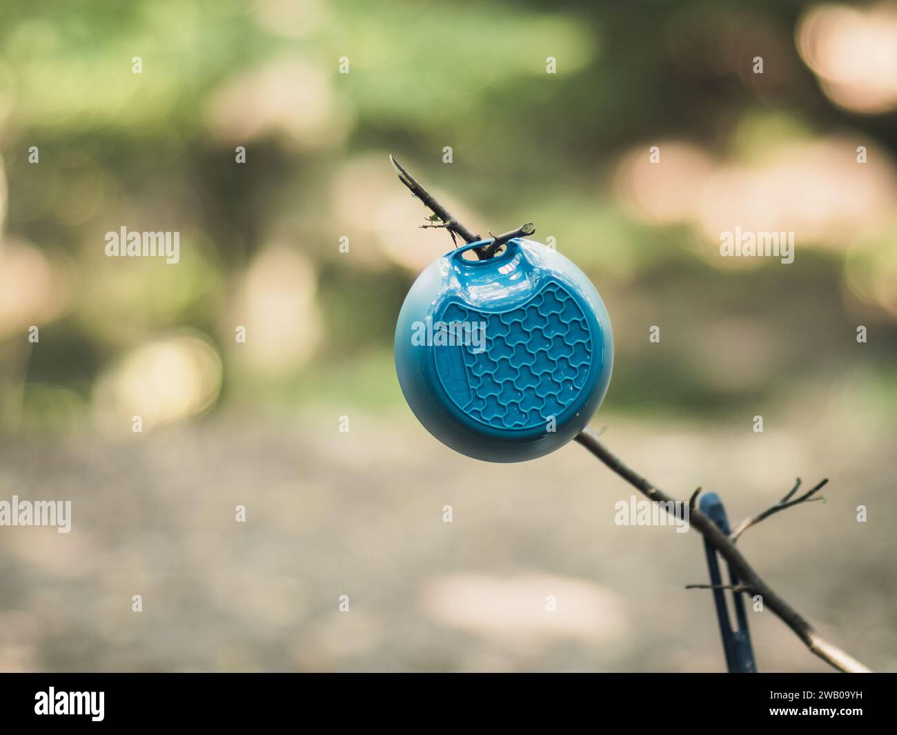 Piatto da campeggio in plastica blu appeso a un bastoncino in un campo, sfondo boschivo sfocato Foto Stock