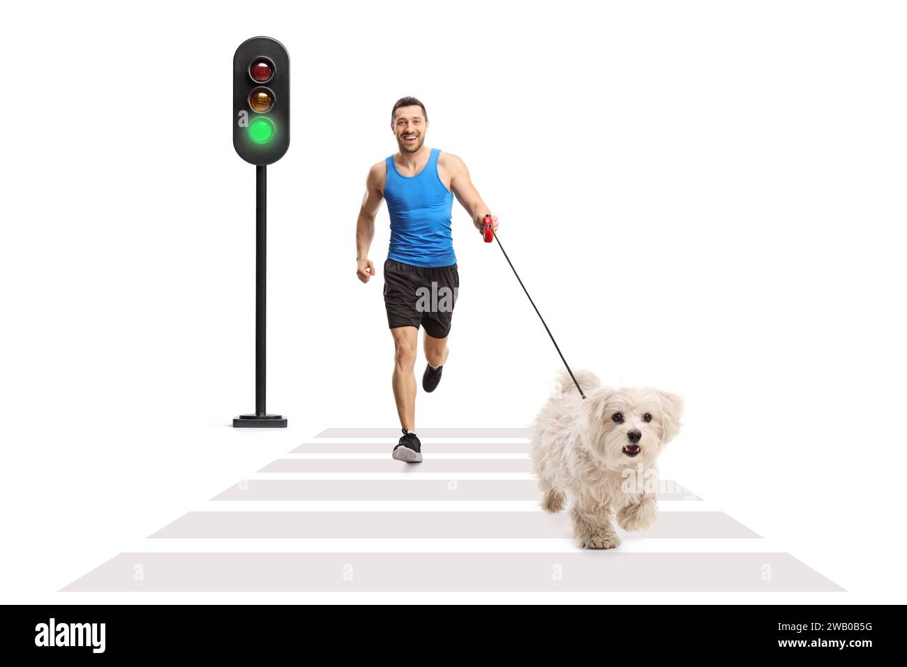 Uomo che fa jogging con un cane ritornello in un attraversamento pedonale isolato su sfondo bianco Foto Stock