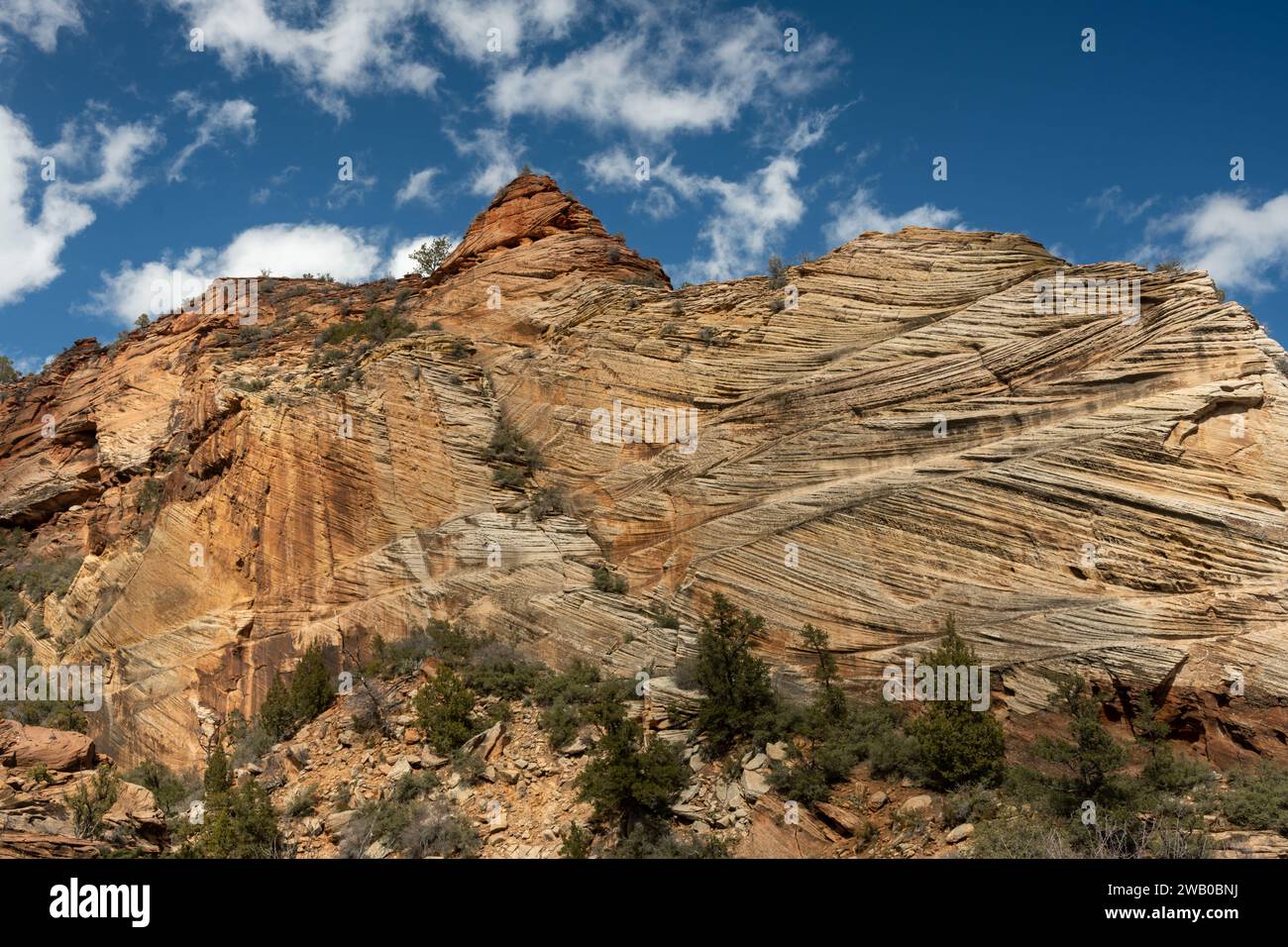 Scrraping texture copre il muro sotto il cielo blu nel Parco nazionale di Zion Foto Stock
