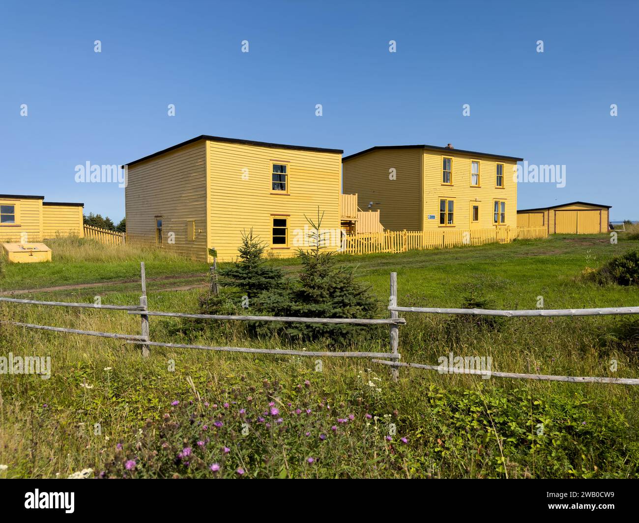 Vista sulla strada di una vibrante casa d'epoca gialla. C'è un fienile, una casa, un capanno e un deposito in legno. Foto Stock