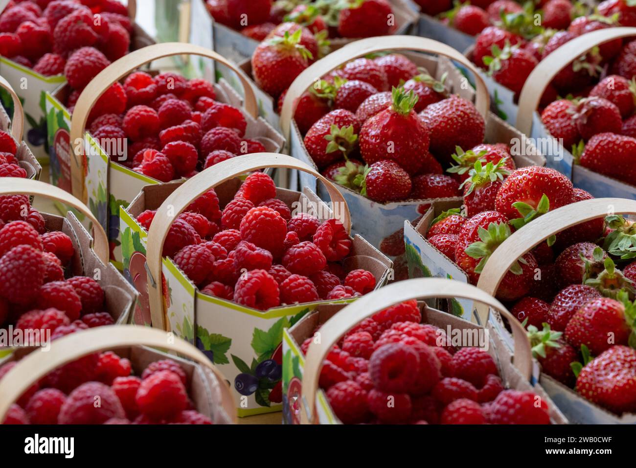 Cesti di fragole rosse e lamponi freschi e dolci in vendita presso un supermercato. Le bacche mature vengono conservate in cestelli di cartone. Foto Stock