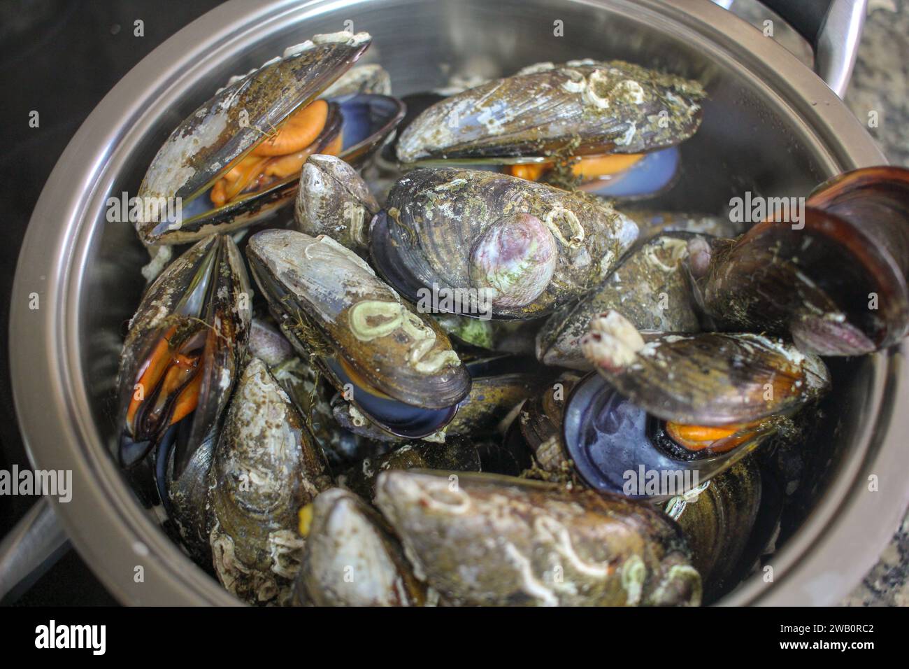 Delizie piene di vapore: Una festa di cozze al vapore nel piatto tuffati in un mondo di delizie culinarie mentre il tenero abbraccio del vapore sblocca i ricchi sapori Foto Stock