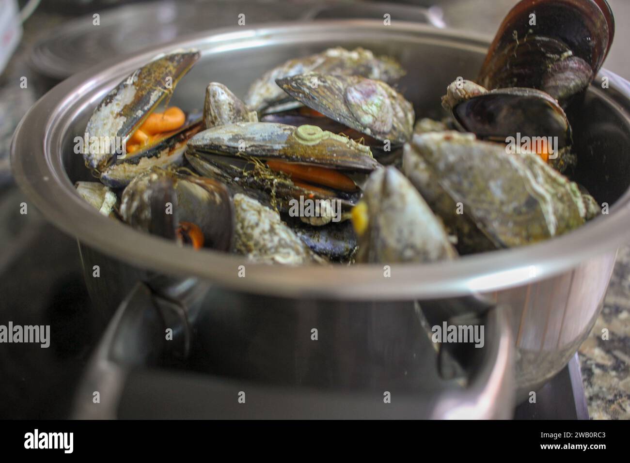 Ocean's Bounty: Cozze al vapore perfette in un piatto Ecco l'epitome della perfezione del pesce come succulente cozze, delicatamente cotte al vapore per teneri perfettio Foto Stock