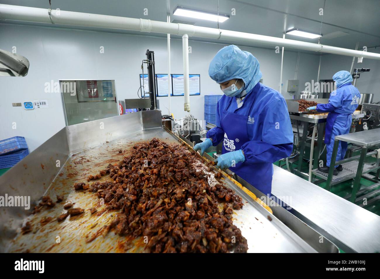 ZIXING, CINA - 4 GENNAIO 2024 - i lavoratori producono prodotti ittici in un laboratorio di un'azienda alimentare naturale nella città di Zixing, provincia di Hunan, Cina, gennaio Foto Stock