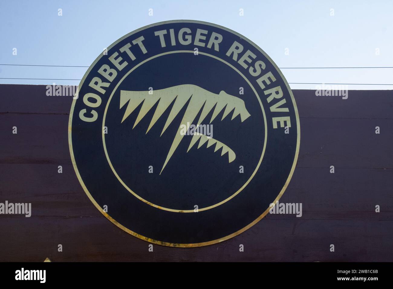 Viaggia attraverso la bellezza selvaggia della riserva della Tigre di Corbett. Immagine di alta qualità Foto Stock