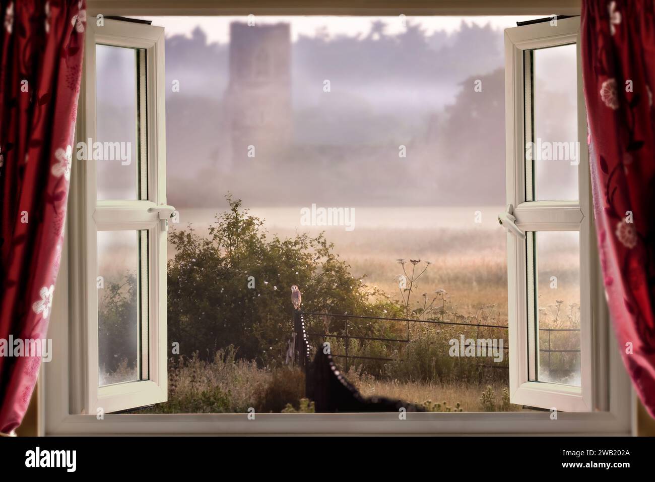 Finestra aperta che si affaccia sulla nebbiosa mattinata, con un gufo fienile sulla recinzione metallica nel Norfolk, Inghilterra Foto Stock