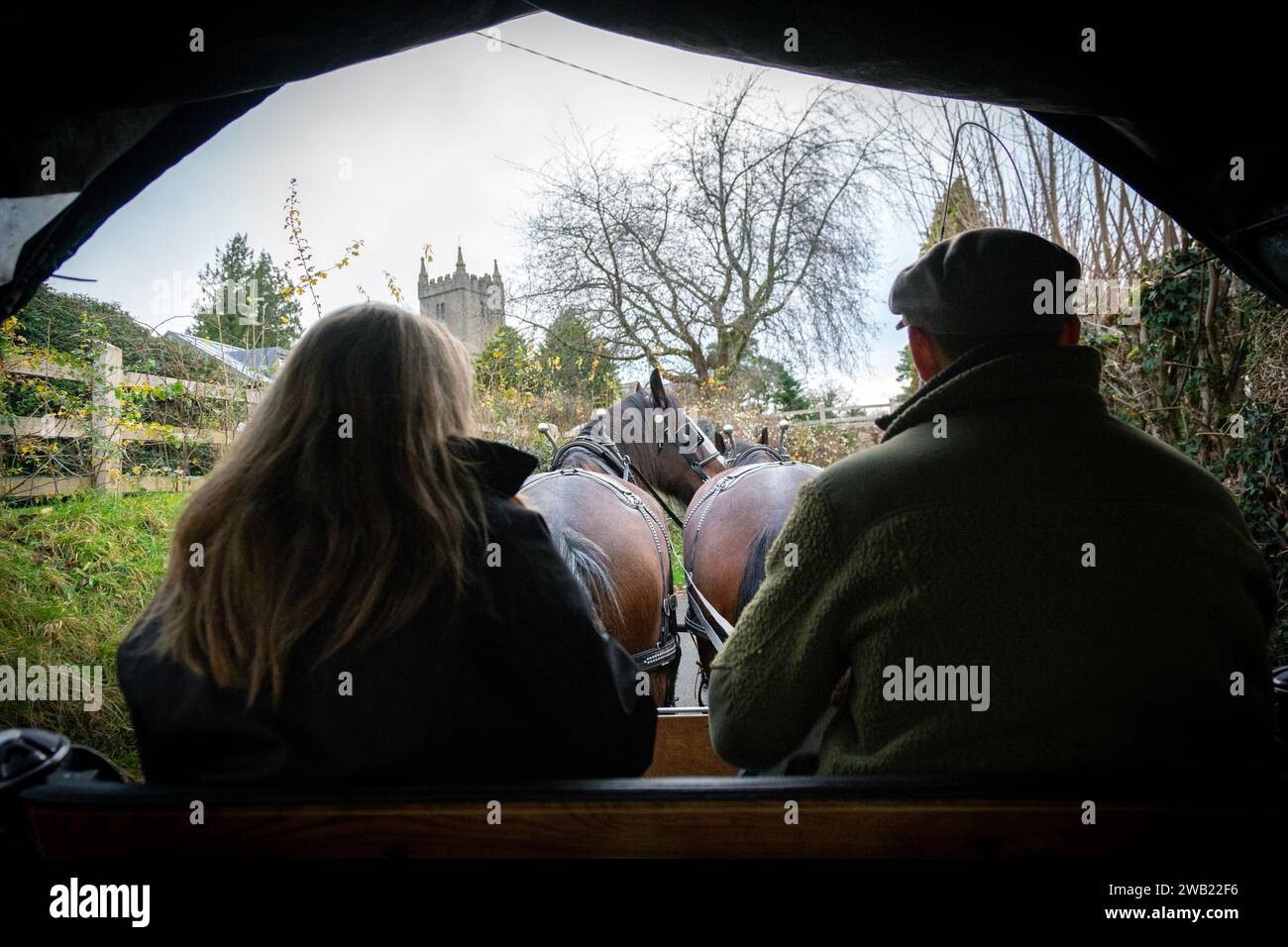 Lo Shire è una razza britannica di cavallo da tiro. Di solito è nero, baia o grigio. Si tratta di una razza alta, e gite a cavallo Shire a North Bovey Dartmoor Foto Stock