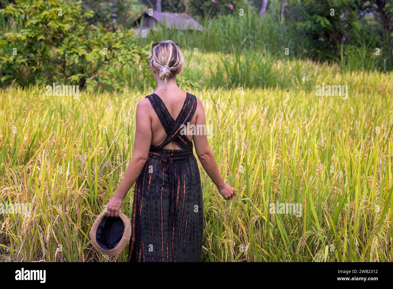 Una giovane donna con un vestito sta camminando in un campo di riso a Sidemen, Bali Foto Stock