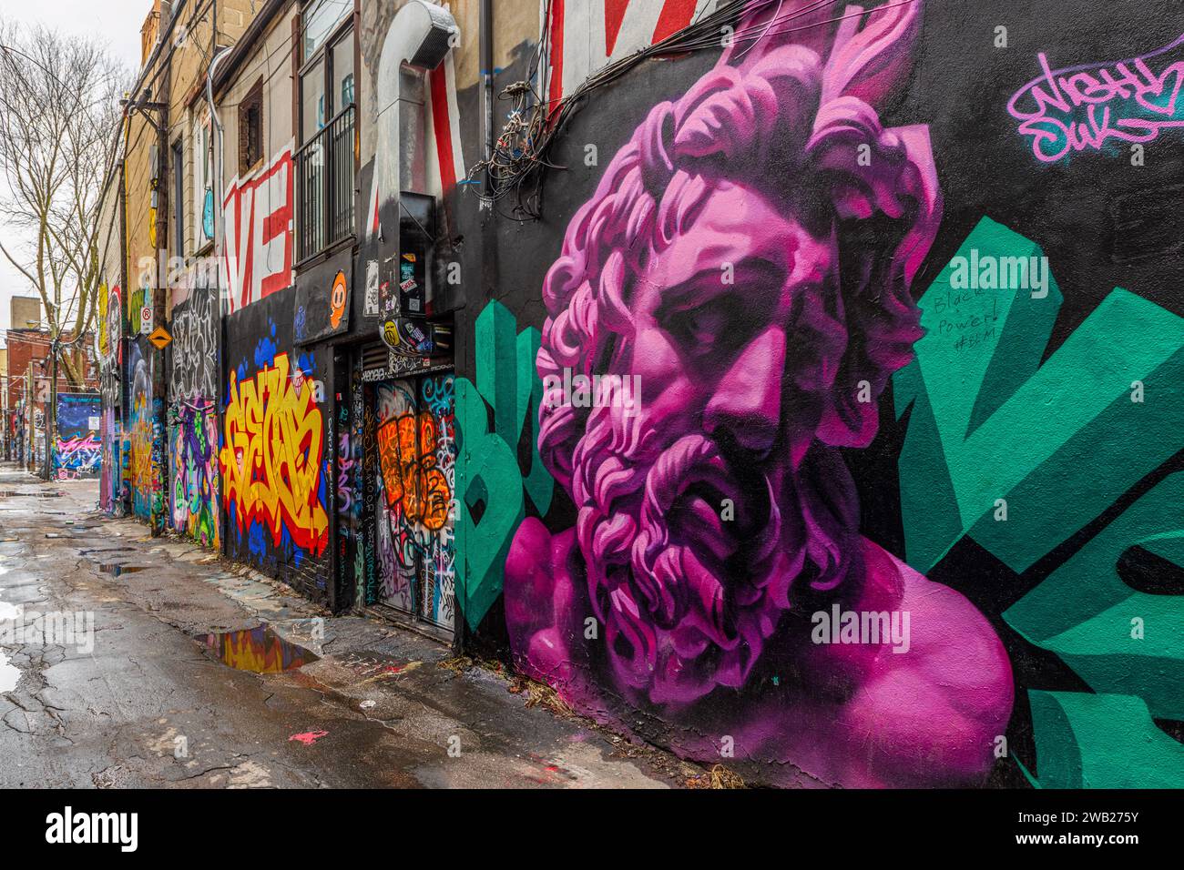 Graffiti Alley, noto anche come Rush Lane, è una gemma nascosta nel quartiere della moda di Toronto. E' un vicolo stretto fiancheggiato da murales colorati e strade Foto Stock