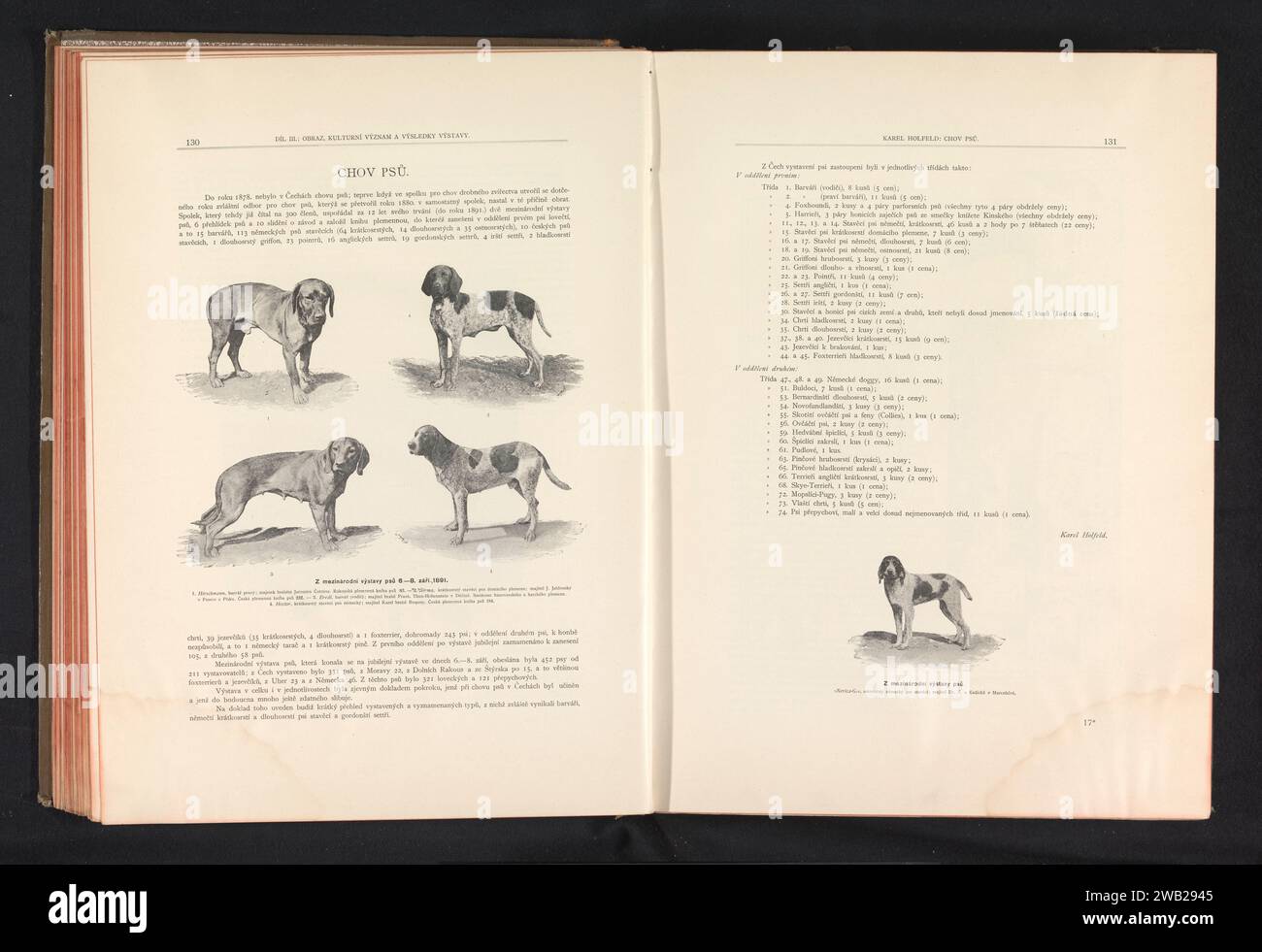 Due razze di cani, Anonymous, 1891 fotomeccanica stampa di Praga Foto Stock
