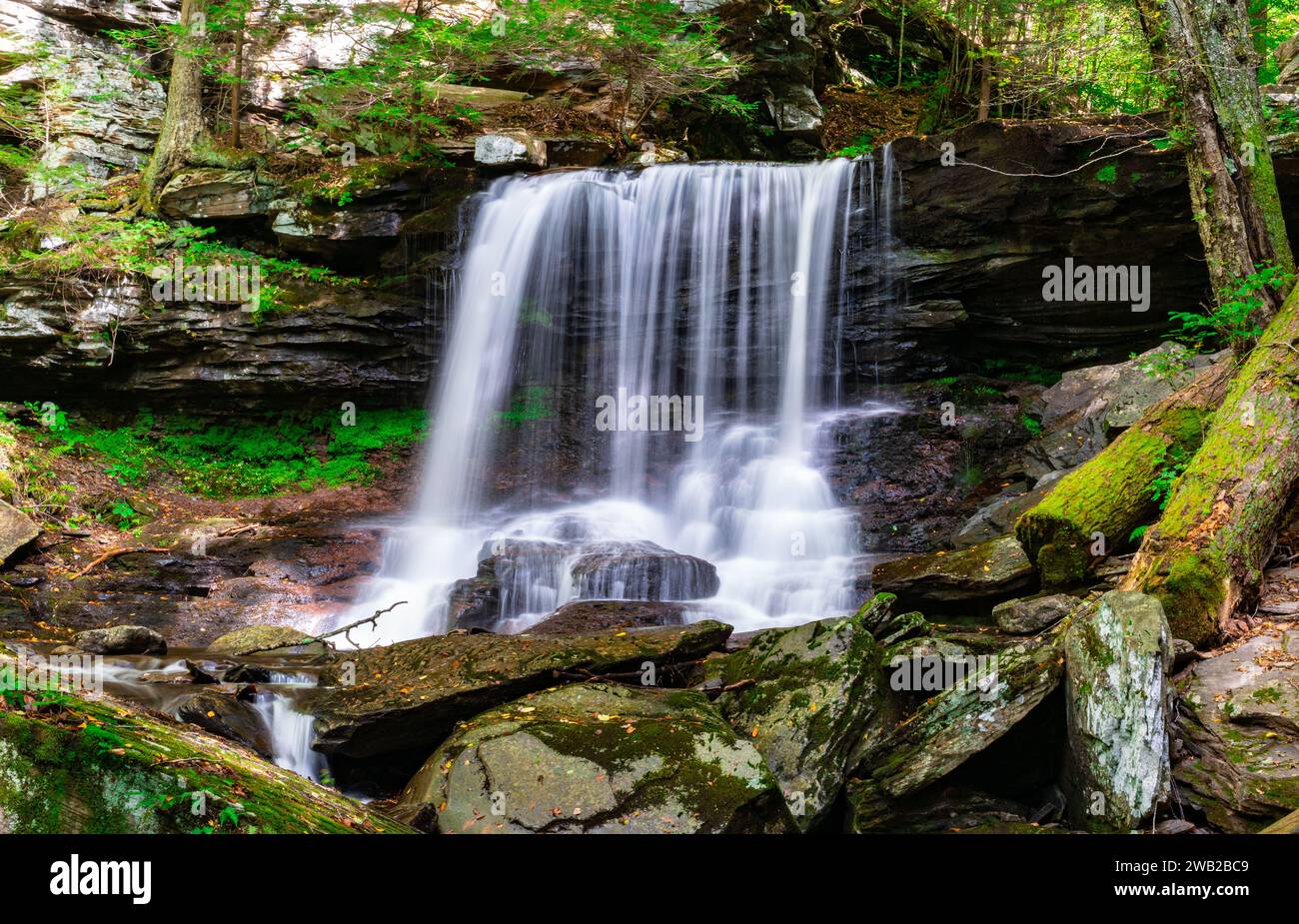 Una vista panoramica della cascata al Ricketts Glen State Park, Pennsylvania Foto Stock