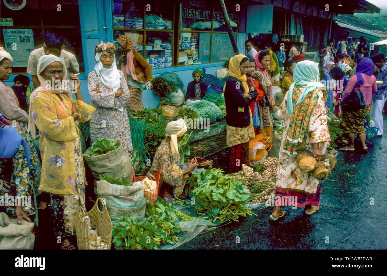 Indonesia, Sumatra Occidentale. Le donne Minangkabau vendono verdure. La società Minangkabau è matrilineale, in cui si trovano proprietà come terreni e case Foto Stock