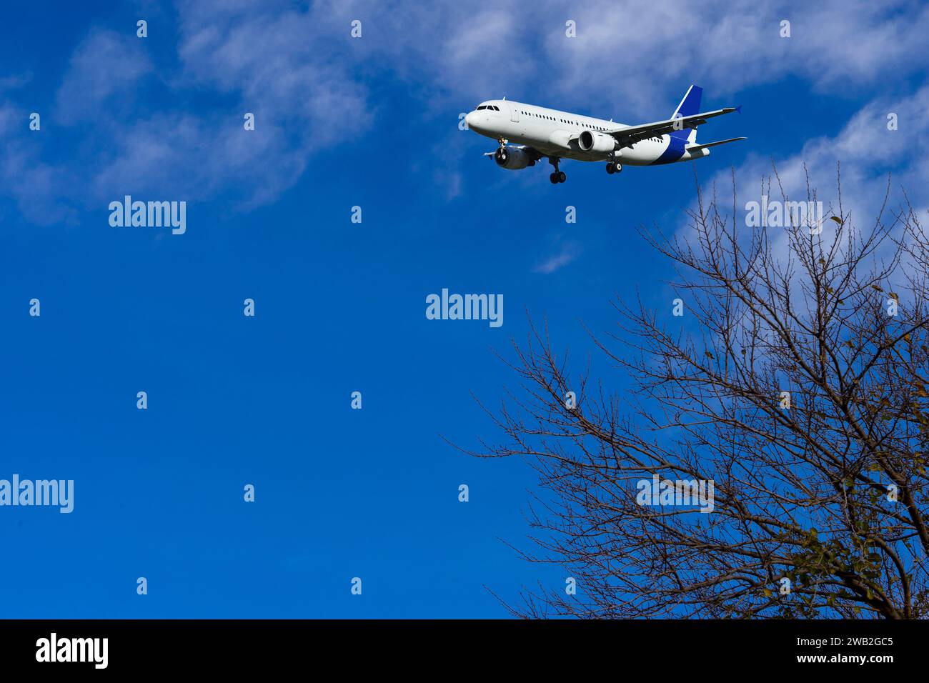 Un aereo passeggeri sta volando in un bel cielo blu con nuvole bianche. Foto Stock