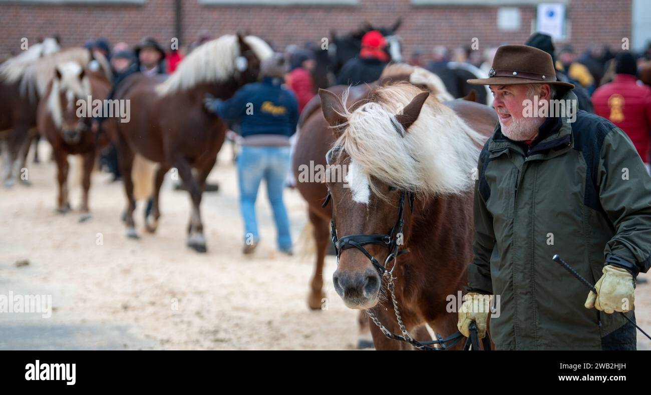 Ellwangen, Germania. 8 gennaio 2024. I proprietari di cavalli presentano i loro animali alla cerimonia di premiazione in occasione del mercato freddo. Il mercato freddo si svolge fin dall'alto Medioevo. Il momento culminante dell'evento di più giorni è sempre la cerimonia di premiazione per le ragazze e i team. Crediti: Stefan Puchner/dpa/Alamy Live News Foto Stock