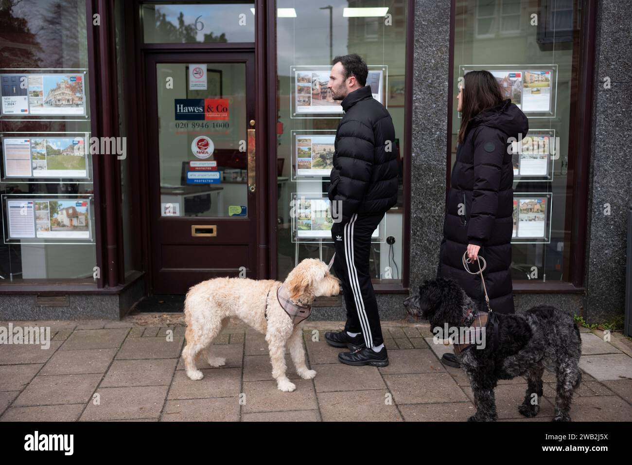 I proprietari con i loro cani domestici che guardano in una finestra di un agente immobiliare presso la pubblicità della proprietà, Southwest London, Inghilterra, Regno Unito Foto Stock