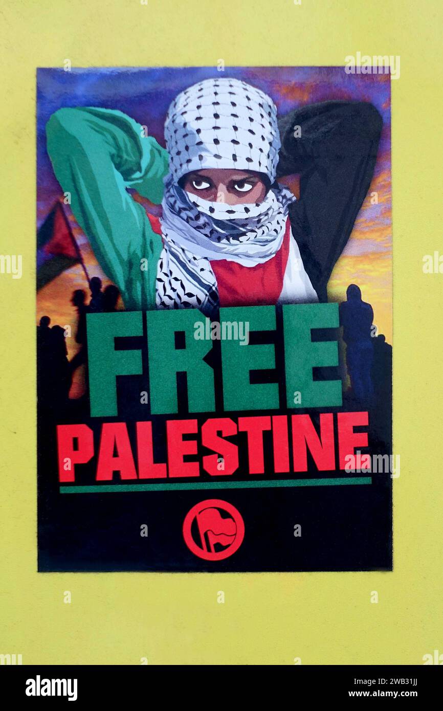 Confezione Da 50 Adesivi Assortiti Palestina Libera, Sticker Adesivi In Bulk - Foto 3