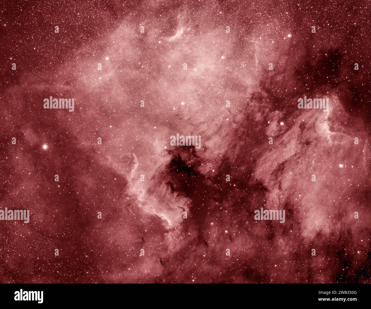NGC7000, la Nebulosa del Nord America nella costellazione del Cygnus, fotografata in banda stretta ha Foto Stock