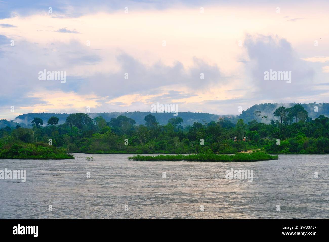 Foresta allagata lungo il fiume Trombetas, stato di Para, Brasile Foto Stock