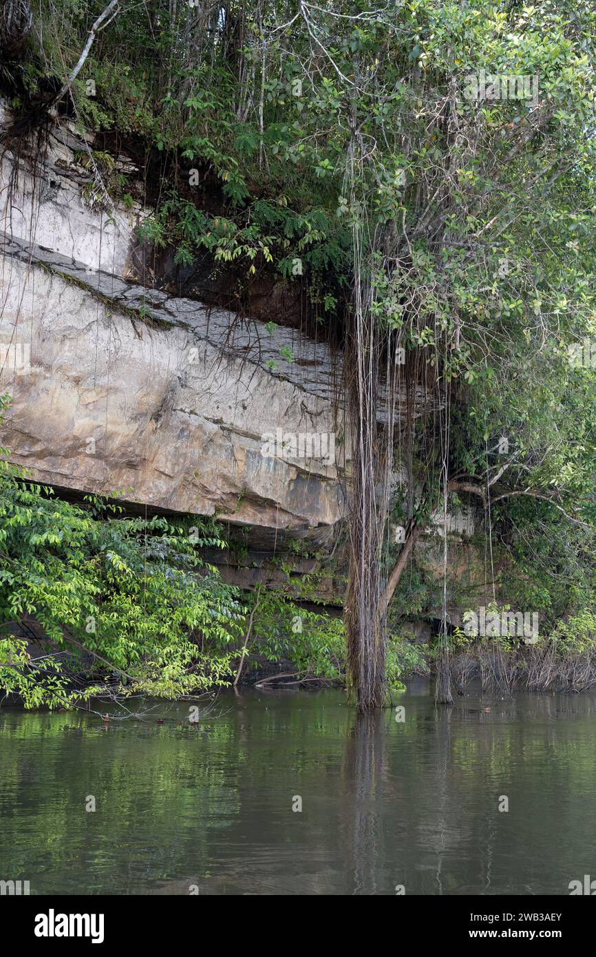 Formazione rocciosa lungo il fiume Trombetas, stato di Para, Brasile Foto Stock