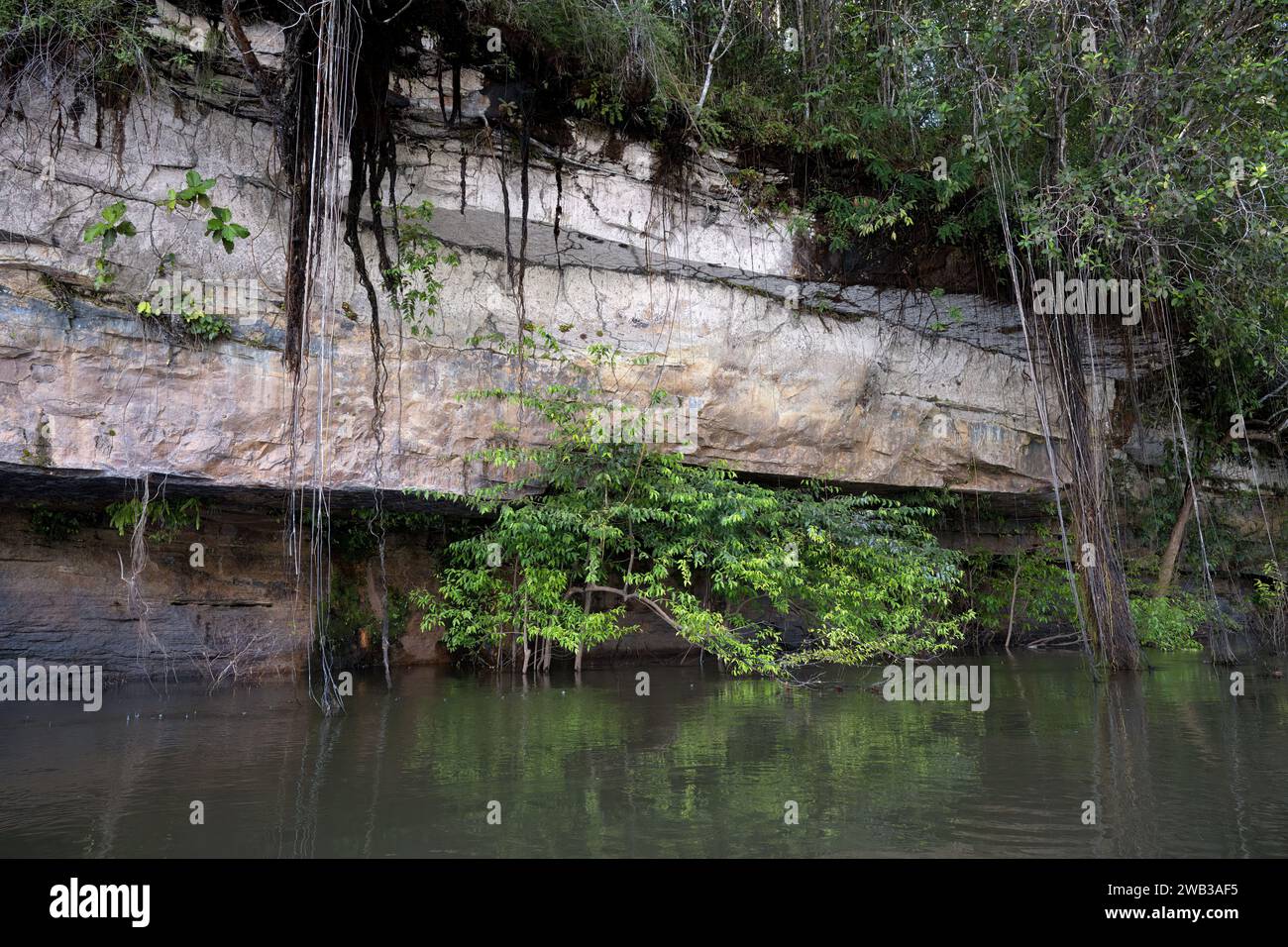 Formazione rocciosa lungo il fiume Trombetas, stato di Para, Brasile Foto Stock