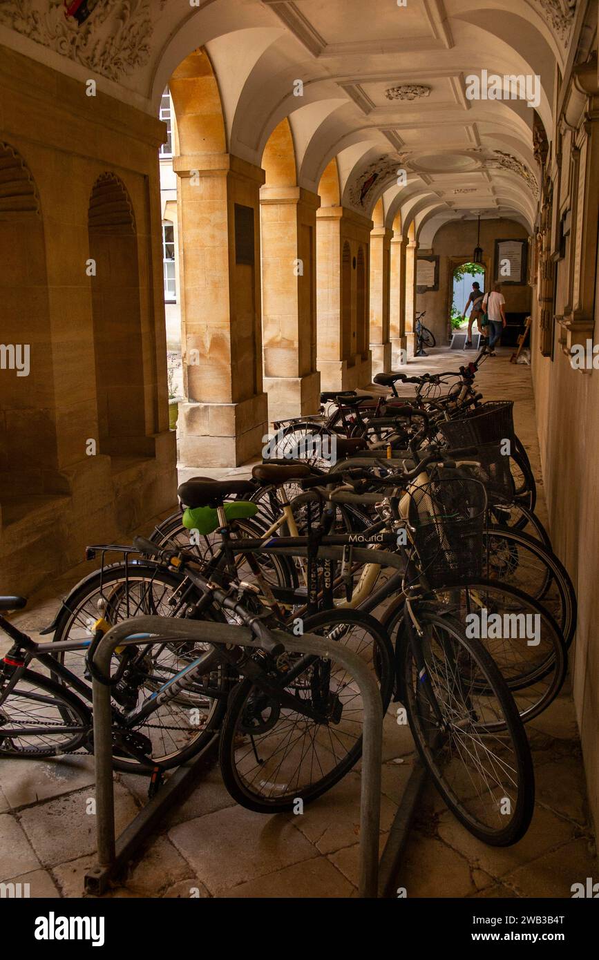 Regno Unito, Inghilterra, Oxfordshire, Oxford, Corpus Christi College, biciclette nel chiostro Foto Stock