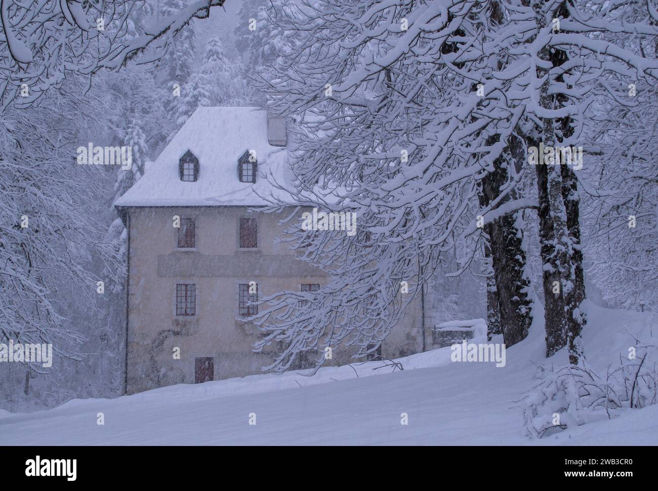 Inverno innevato vicino al Couvent de la Chartreuse, dipartimento dell'Isère, regione Auvergne-Rhône-Alpes, Francia Foto Stock