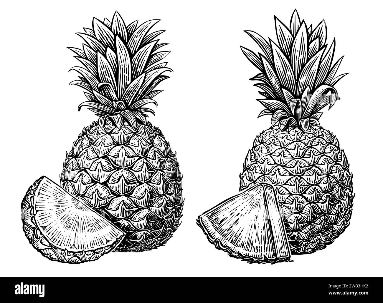 Ananas e pezzo isolati su sfondo bianco. Frutta tropicale estiva. Illustrazione di uno schizzo disegnato a mano Illustrazione Vettoriale