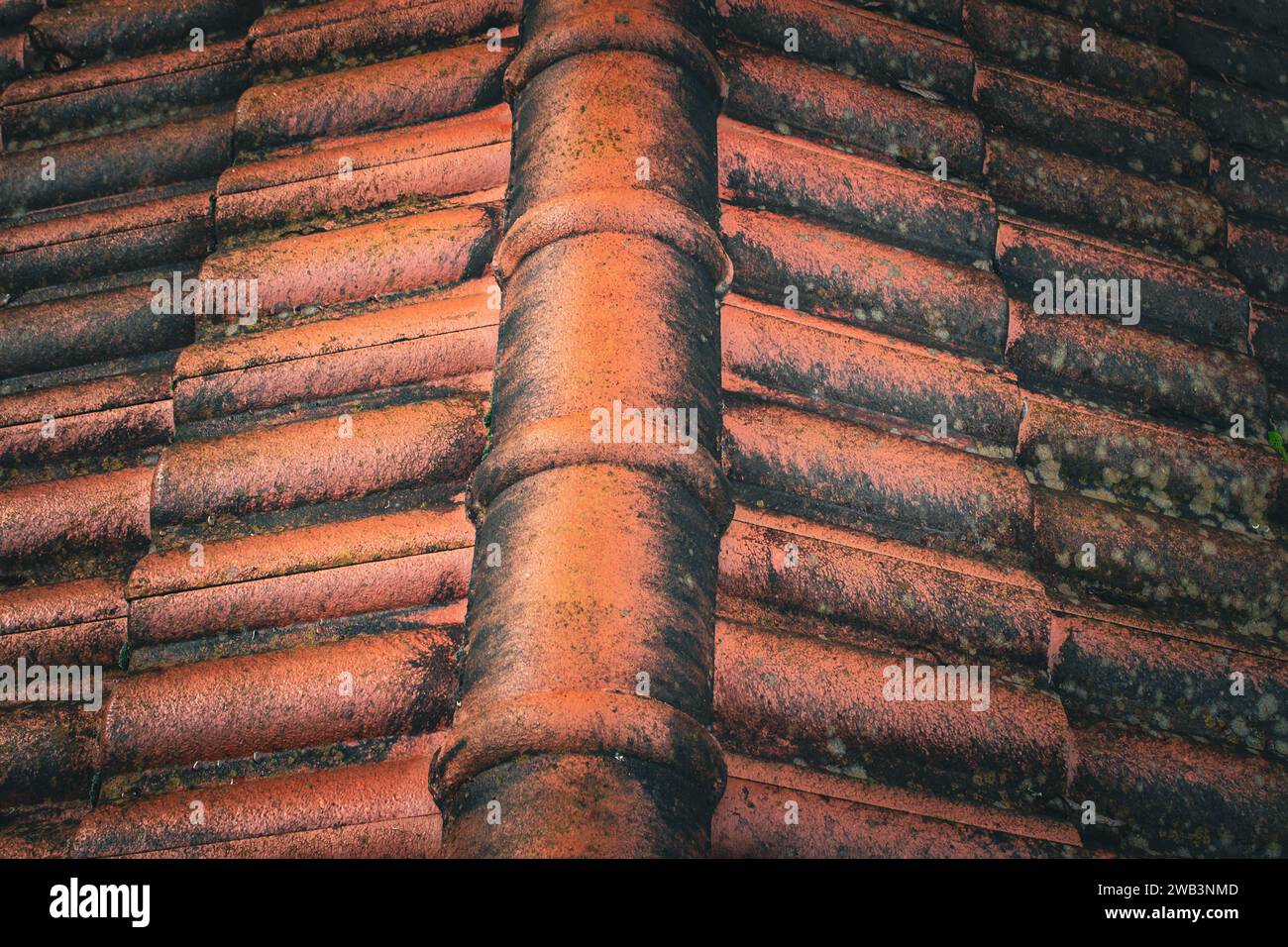 Vista di vecchi tegoli sopra una pensione. Stile retrò del tetto con tegole. Foto Stock