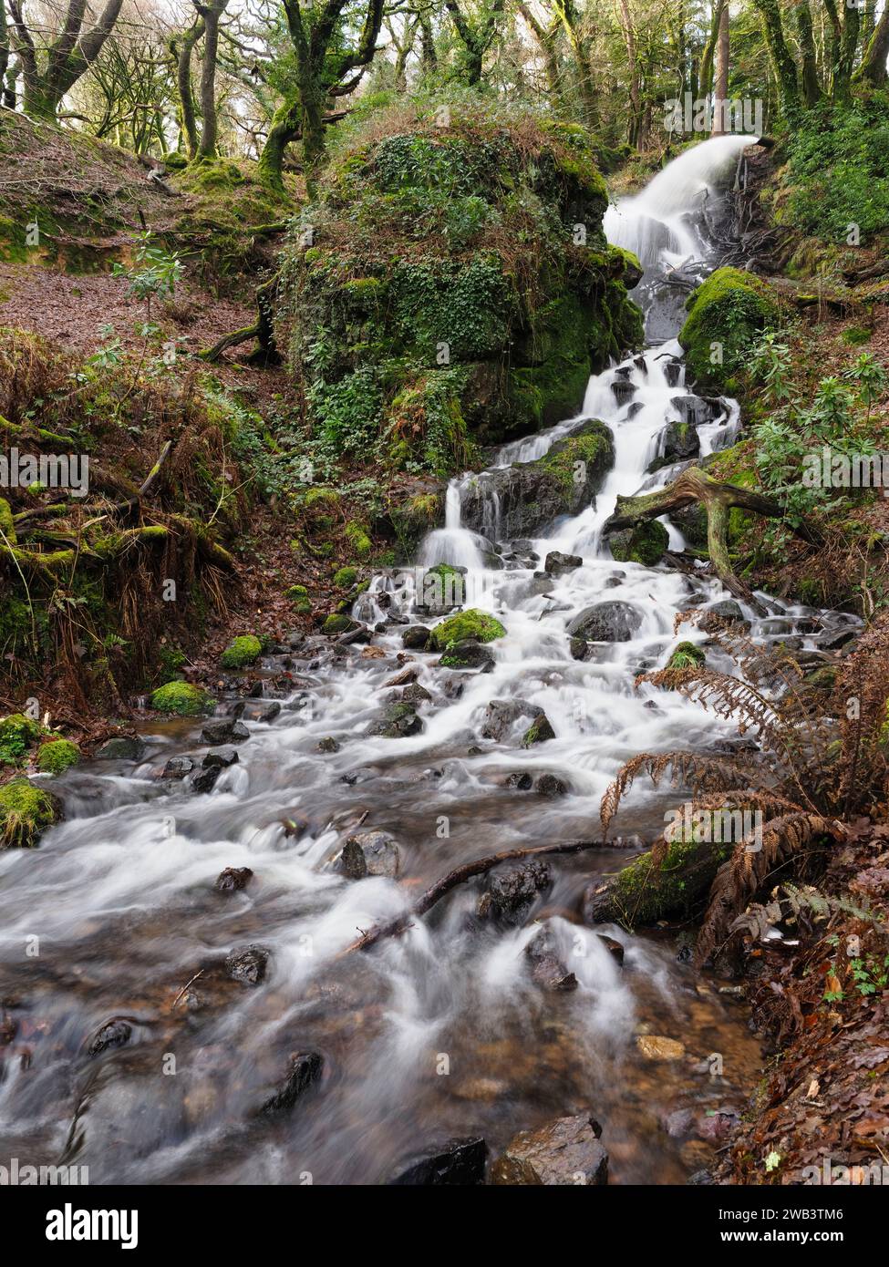 Cascata che alimenta l'acqua da Drake's Leat a Burrator Reservoir nel Dartmoor National Park, Devon, Inghilterra Foto Stock