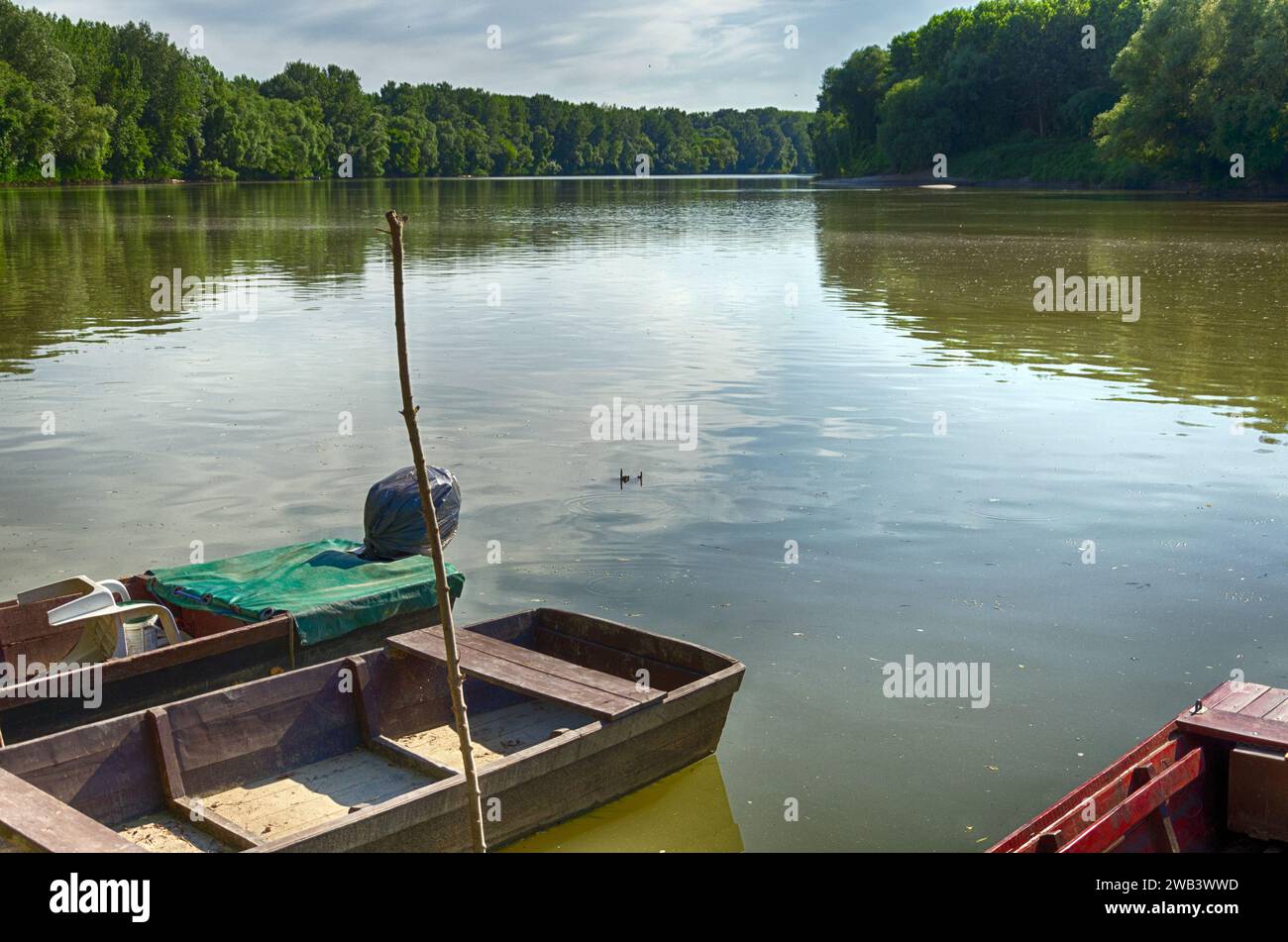 Ungheria, Tiszadada in estate: Barche di legno riposano lungo la riva del fiume Tisza, abbracciate da alberi, una scena pittoresca in estate Foto Stock