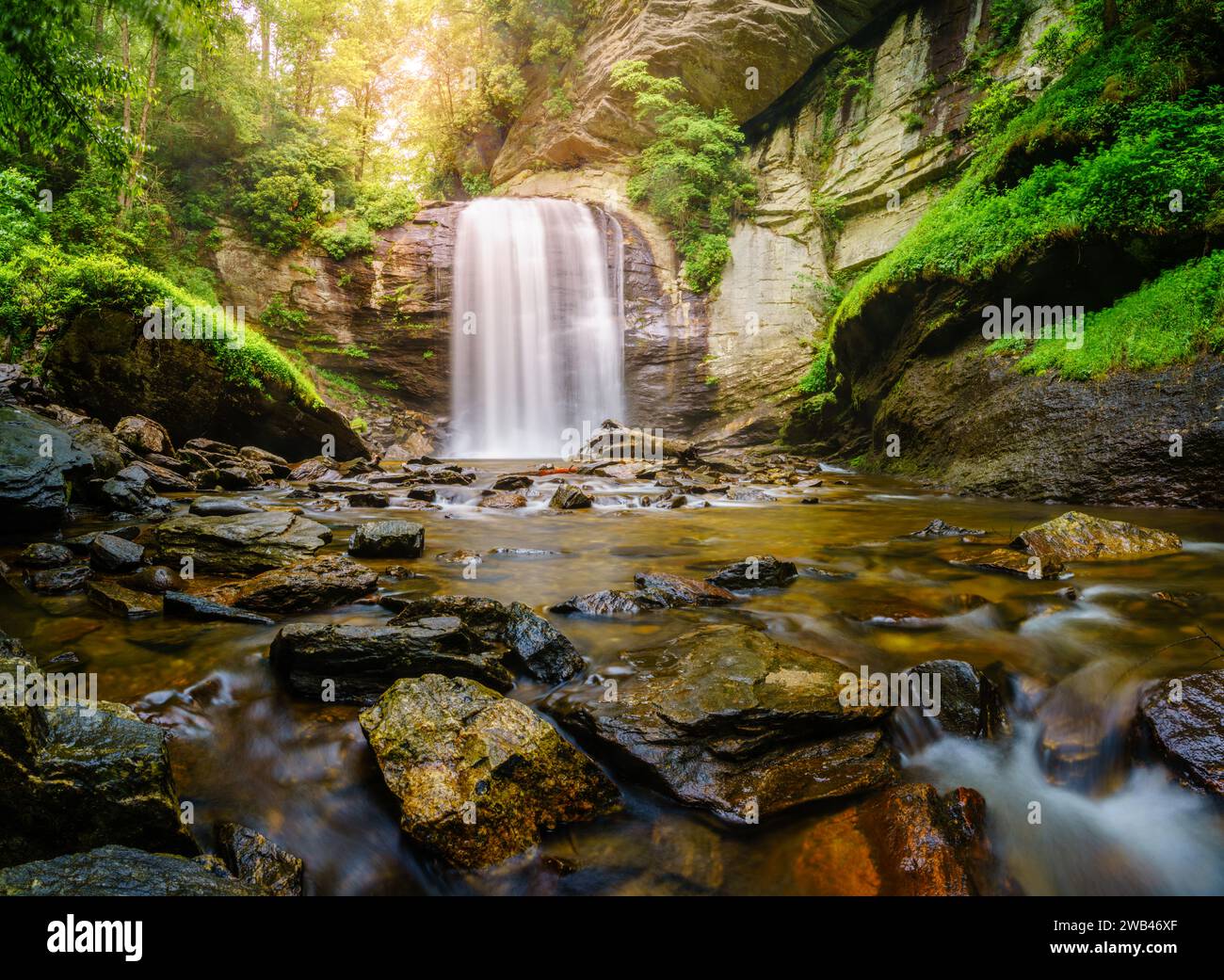 Looking Glass Falls nella Pisgah National Forest vicino a Brevard, North Carolina Foto Stock
