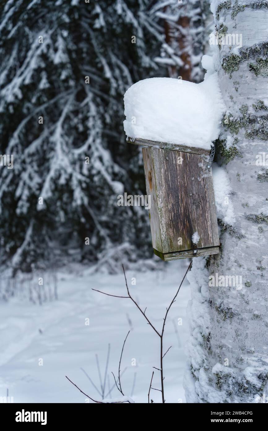 Una casa per uccelli sull'albero coperta di neve Foto Stock