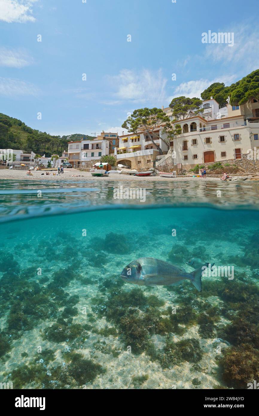 Vista sul mare di un villaggio mediterraneo sulla Costa Brava in Spagna con pesci sott'acqua, vista su e sotto la superficie dell'acqua, scenario naturale, sa Tuna Foto Stock