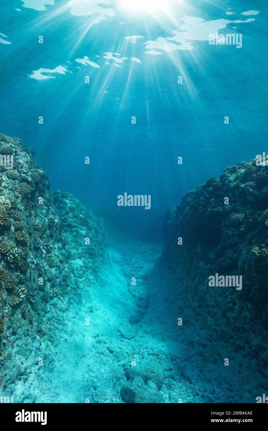 Trincea subacquea nella barriera corallina con la luce del sole nell'oceano Pacifico, Polinesia francese, scenario naturale Foto Stock
