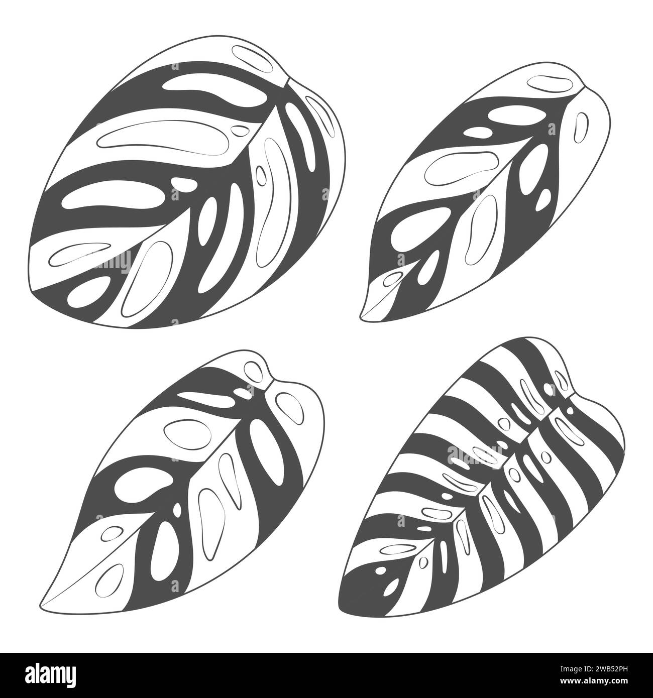 Set di illustrazioni in bianco e nero con foglie di piante superidratanti monstera. Oggetti vettoriali isolati su sfondo bianco. Illustrazione Vettoriale