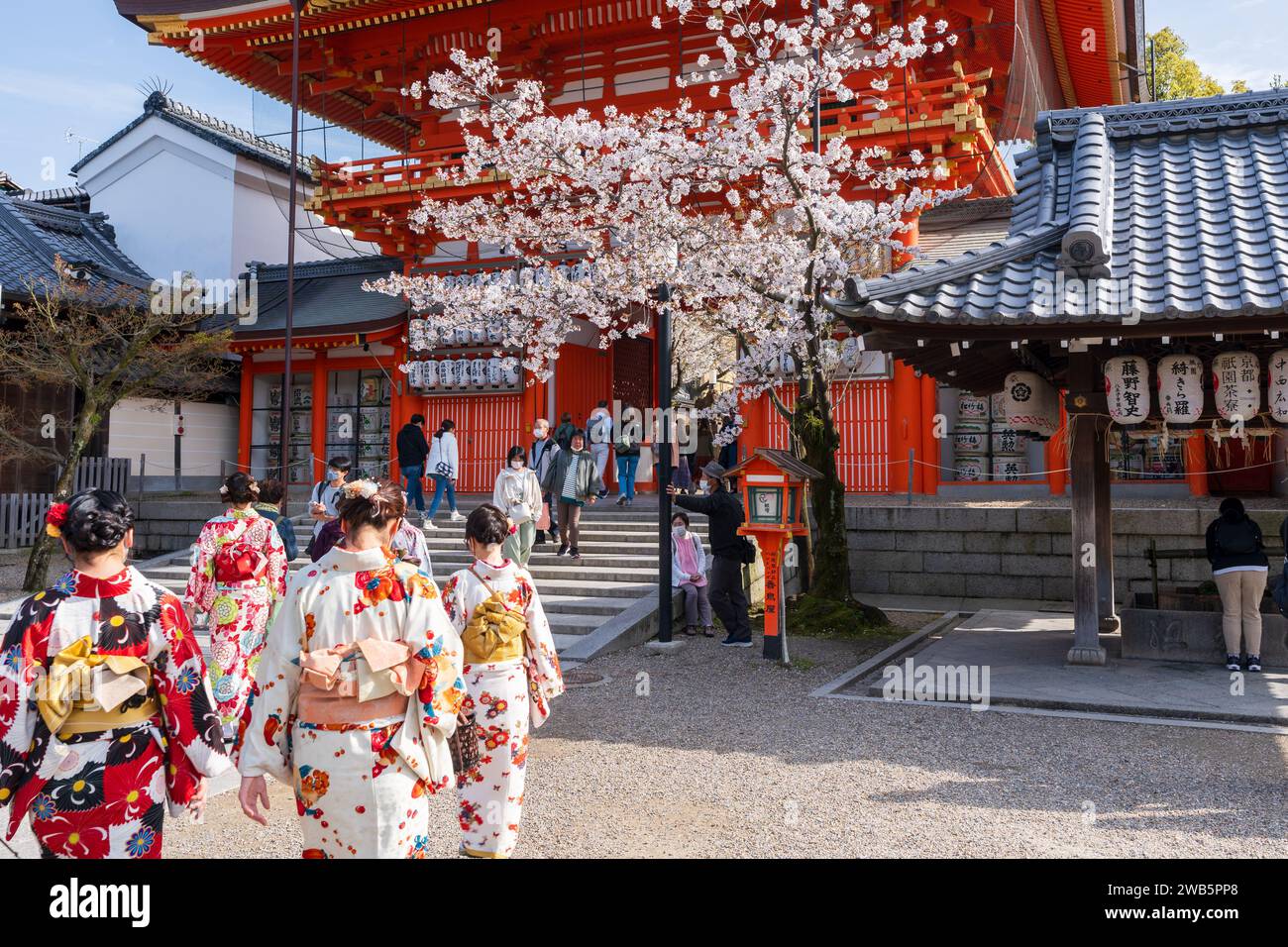 Kyoto, Giappone - marzo 27 2023: Fioritura dei ciliegi nel Santuario Yasaka Jinja. Foto Stock