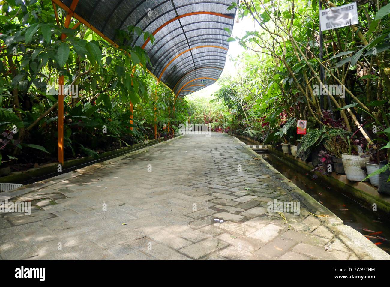 Percorso di pavimentazione ecocompatibile con piante sane intorno ad esso - pavimentazione ecocompatibile Foto Stock