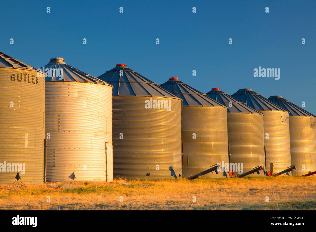 Bidoni di grano, Contea di Broadwater, Montana Foto Stock