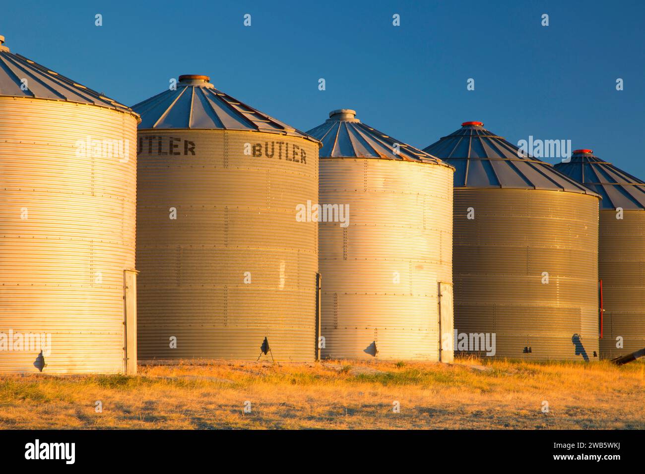 Bidoni di grano, Contea di Broadwater, Montana Foto Stock