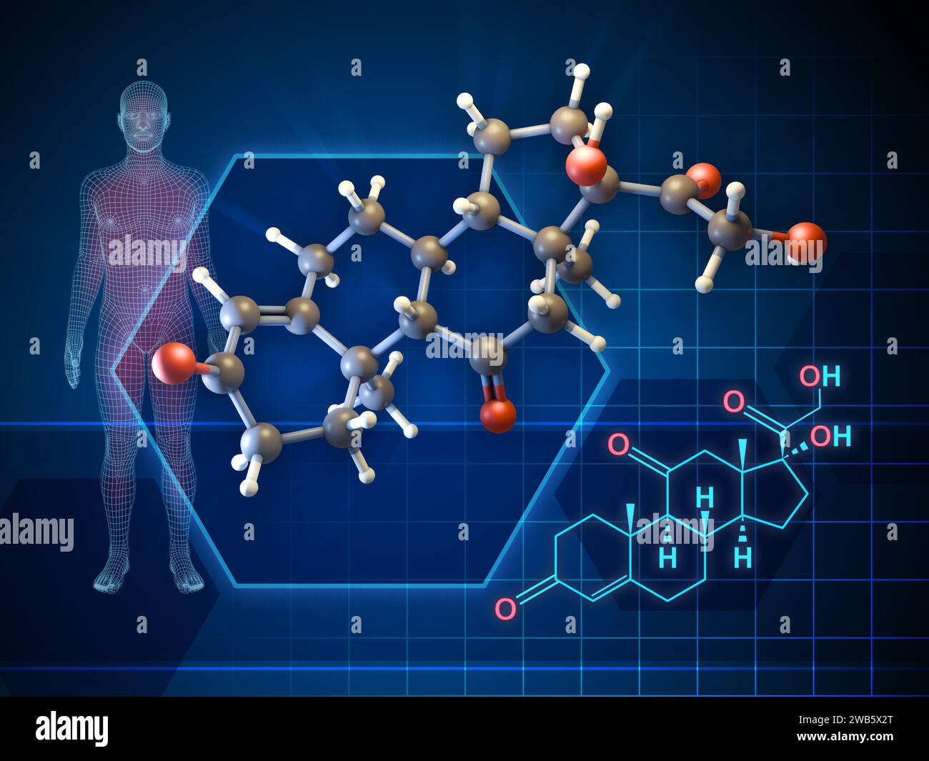Formula della molecola di cortisone e diagramma 3D. Illustrazione digitale, rendering 3D. Foto Stock