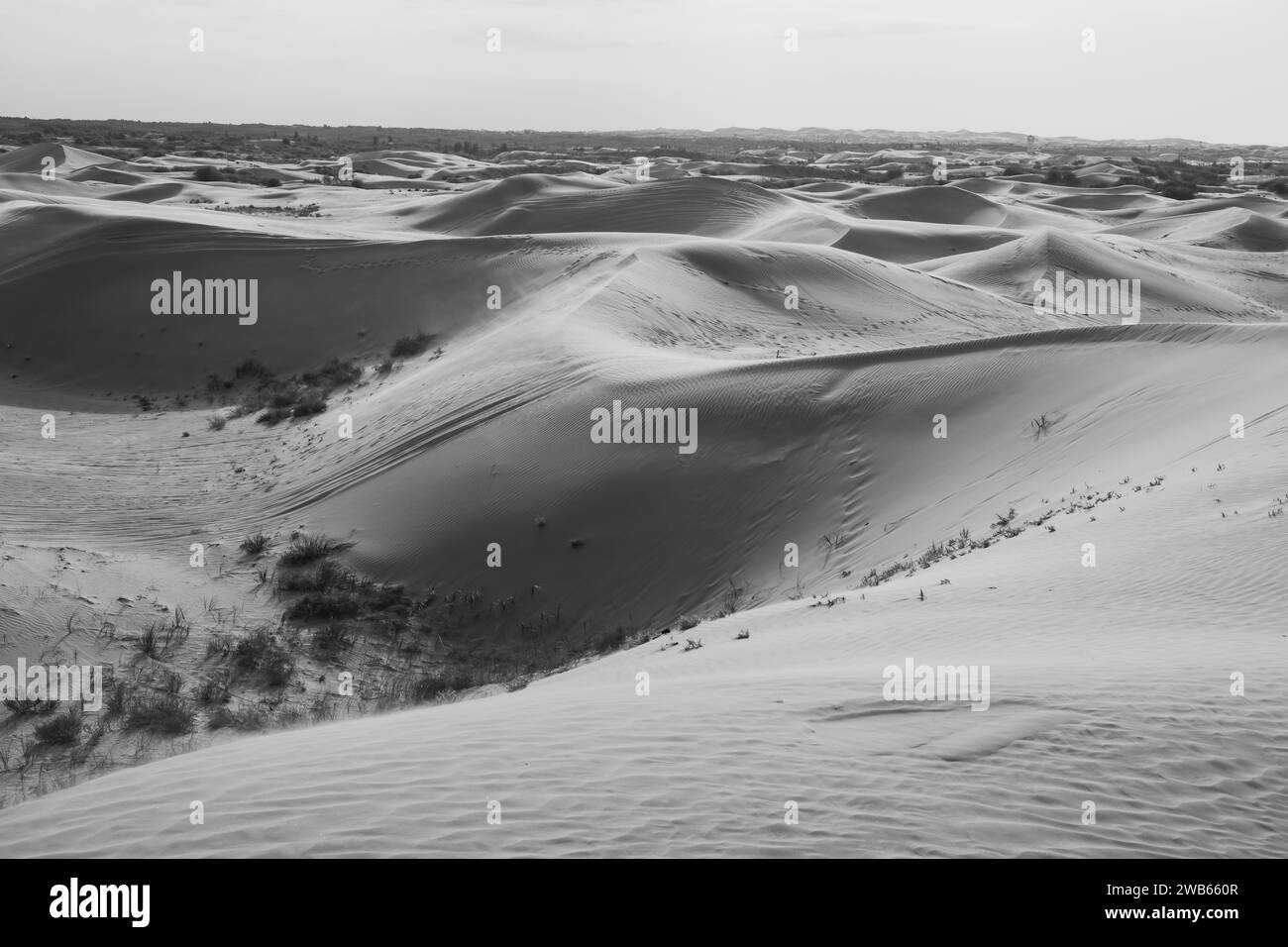 Deserto di Badain Jaran nella Mongolia interna, in Cina, il terzo deserto più grande della Cina, con le dune stazionarie più alte della Terra, cielo blu, nuvole bianche Foto Stock