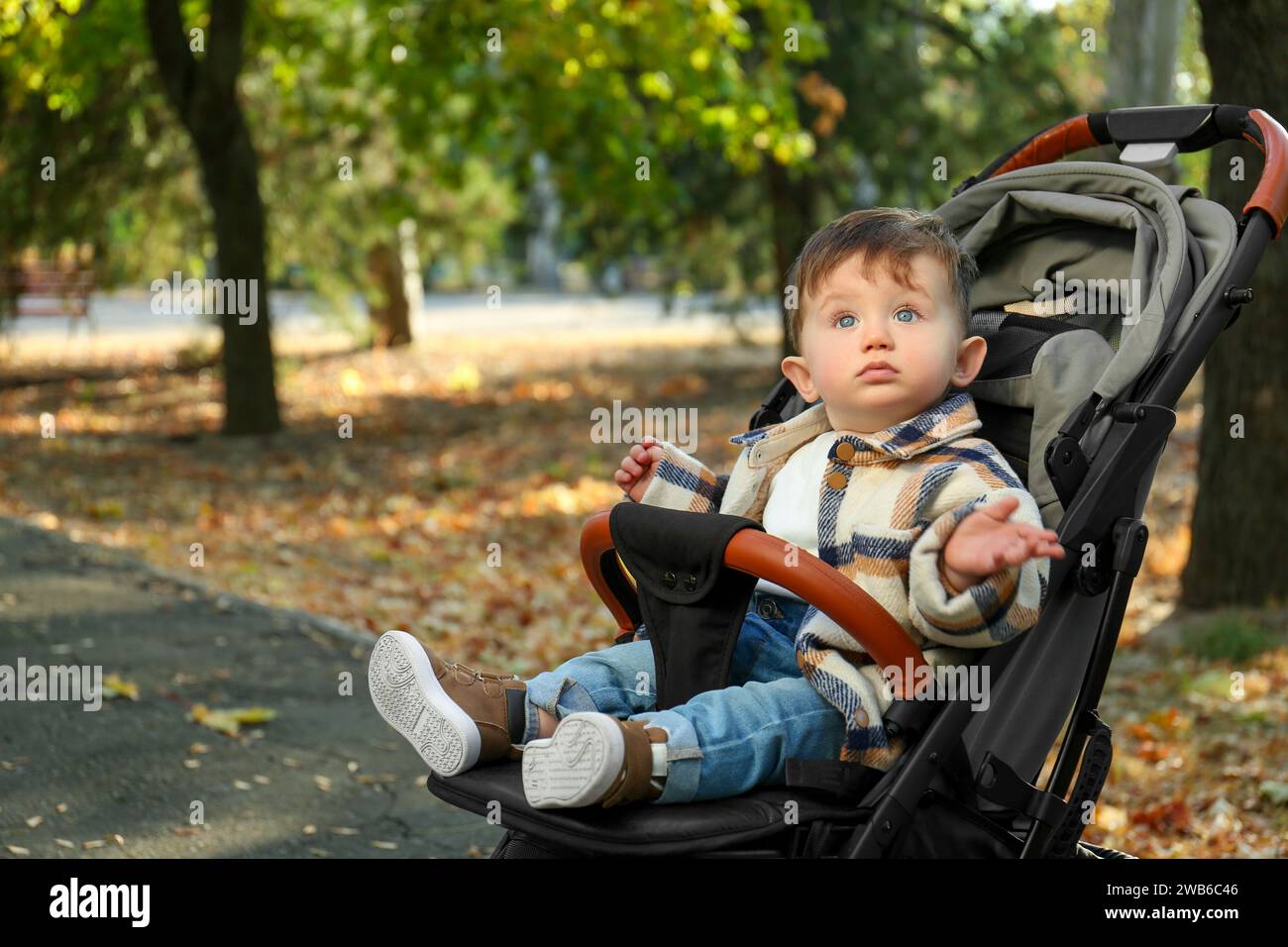 Simpatico bambino in passeggino nel parco autunnale, spazio per il testo Foto Stock